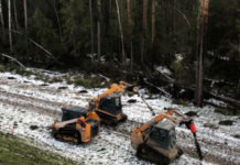 Мини-погрузчик: выбираем рабочую лошадку