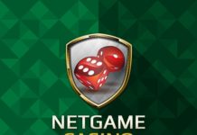 Казино Netgame : идеальное место для онлайн игры