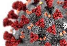 Дезинфекция от коронавируса: правила обработки помещений