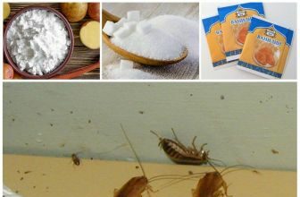Как избавиться от тараканов в квартире: эффективные способы