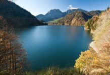 Экскурсионные программы в Сухуми: что стоит посетить