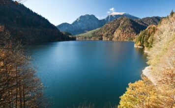 Экскурсионные программы в Сухуми: что стоит посетить