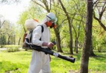 Когда и как часто следует проводить акарицидную обработку?