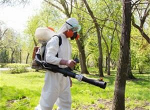 Когда и как часто следует проводить акарицидную обработку?