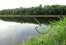 Комплектация фидера для ловли на реке