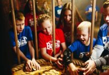 Кому подойдет квест-тур по Калининграду ?