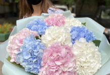 Гортензии: критерии выбора