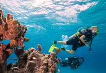 Дайвинг в Крыму: великолепный способ интересно провести отпуск