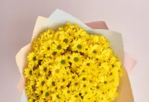 Монобукеты: что это, почему так популярны? Лучшие цветы от AzaliaNow