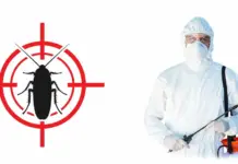 Травля тараканов: Как победить нелегких соседей в вашем доме