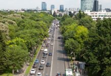 Доля китайских автомобилей в России в мае достигла 54%