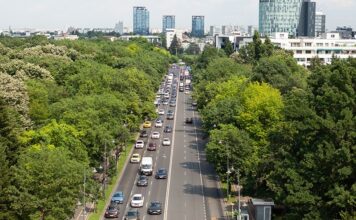 Доля китайских автомобилей в России в мае достигла 54%