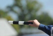 В России за прошлый год зафиксировано более 255 миллионов нарушений ПДД