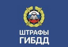 МВД предупреждает водителей о новой схеме мошенников с фальшивыми штрафами от ГАИ