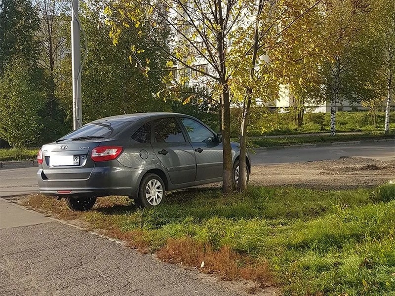 Общая сумма штрафов за неправильную парковку в Подмосковье превысила 25 млн рублей