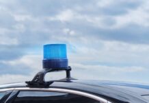 Путин утвердил ужесточение наказания за непропуск машин со спецсигналами