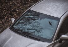 В каком регионе наказывают за тонировку чаще всего?