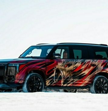 Автомобили марки Rox «пропишутся» в России