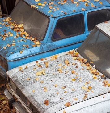 Автовладельцы начали оспаривать новые правила утильсбора в Конституционном суде