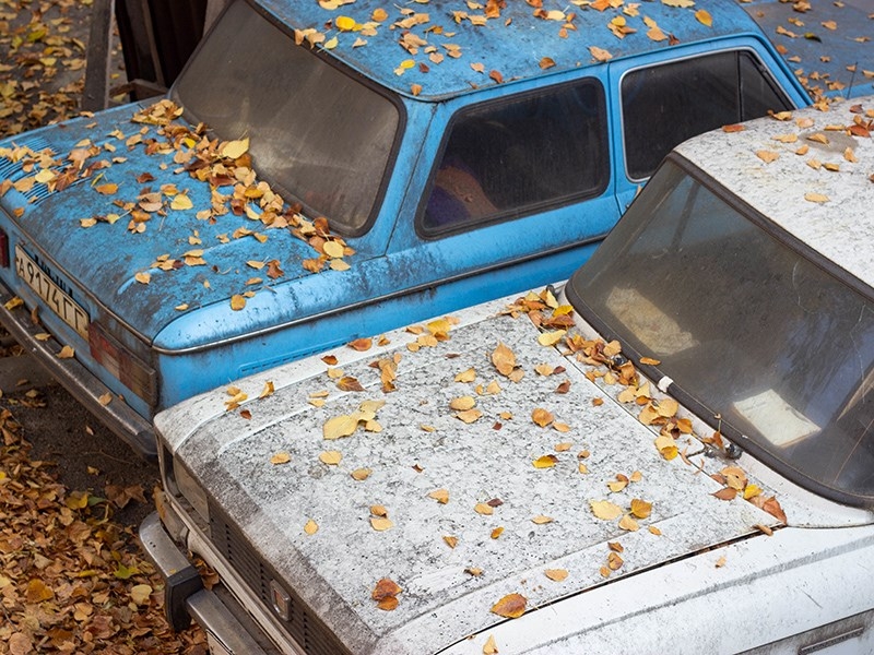 Автовладельцы начали оспаривать новые правила утильсбора в Конституционном суде