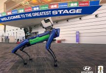 Hyundai доверит обеспечение безопасности на Чемпионате Мира робо-собакам