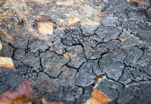 В Госдуме предложили не штрафовать россиян за ремонт дорог