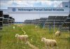 Volkswagen отказалась от газонокосилок. За солнечной электростанцией теперь ухаживают 100 овец